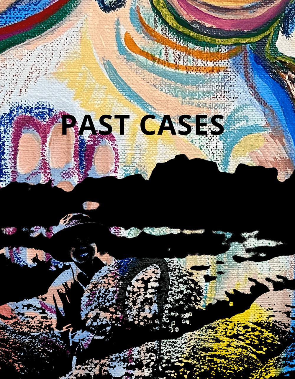 PAST CASES