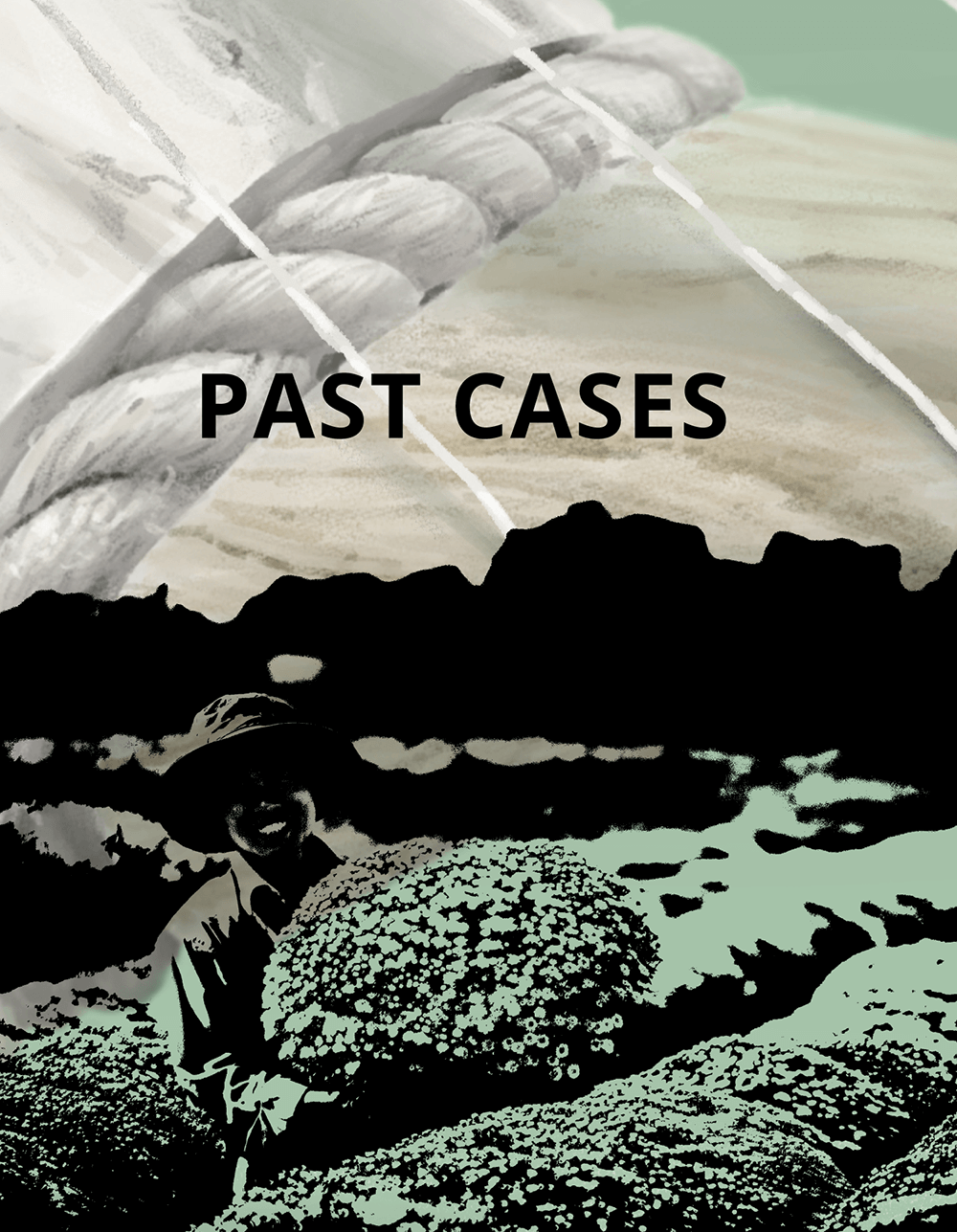 PAST CASES