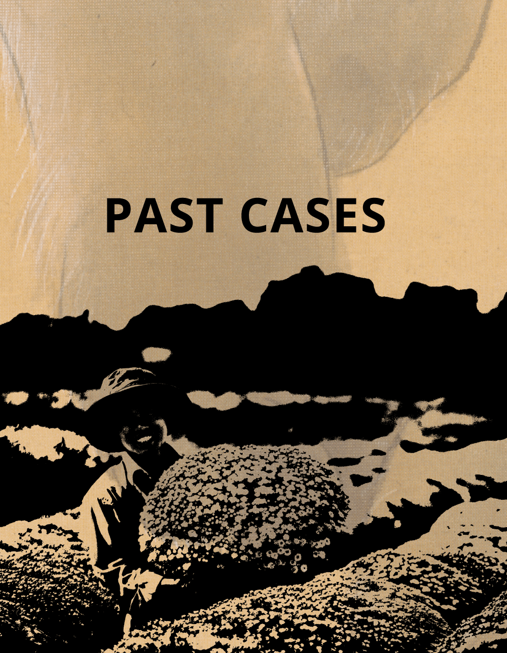 PAST CASES