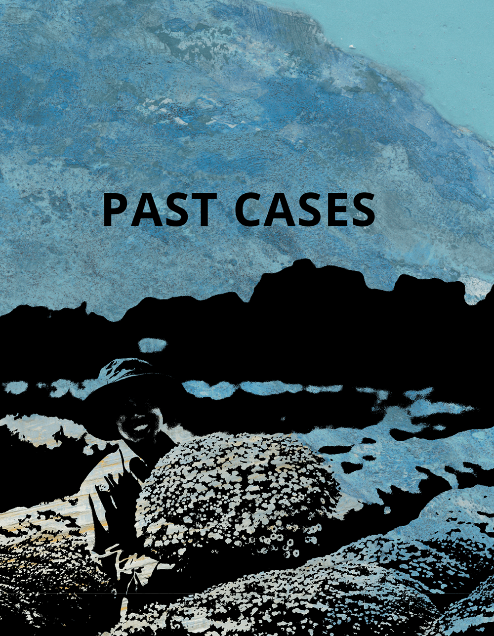 PAST CASES