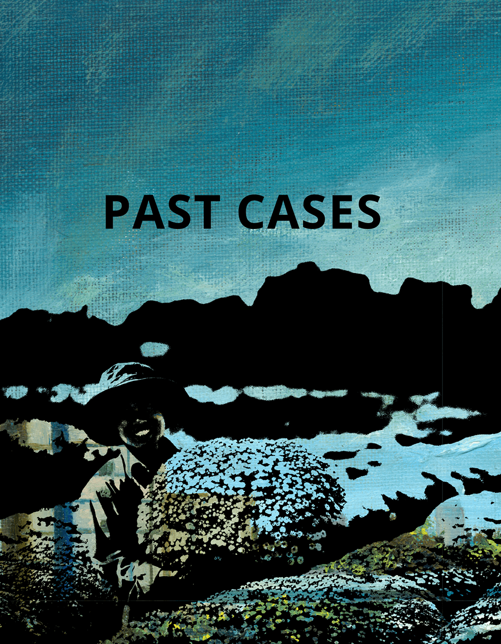 PAST CASES