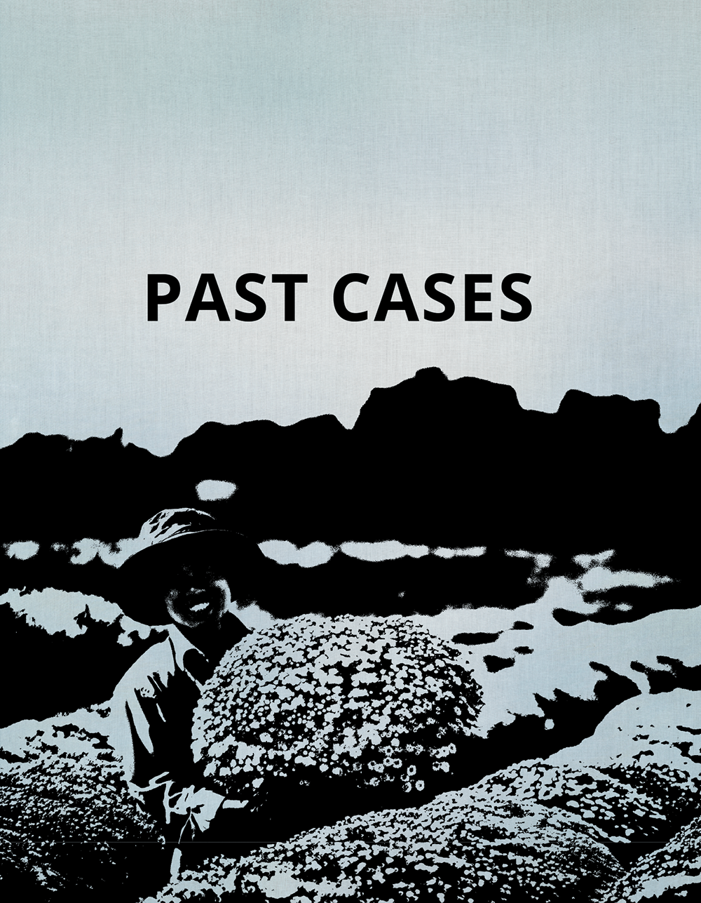 PAST CASES