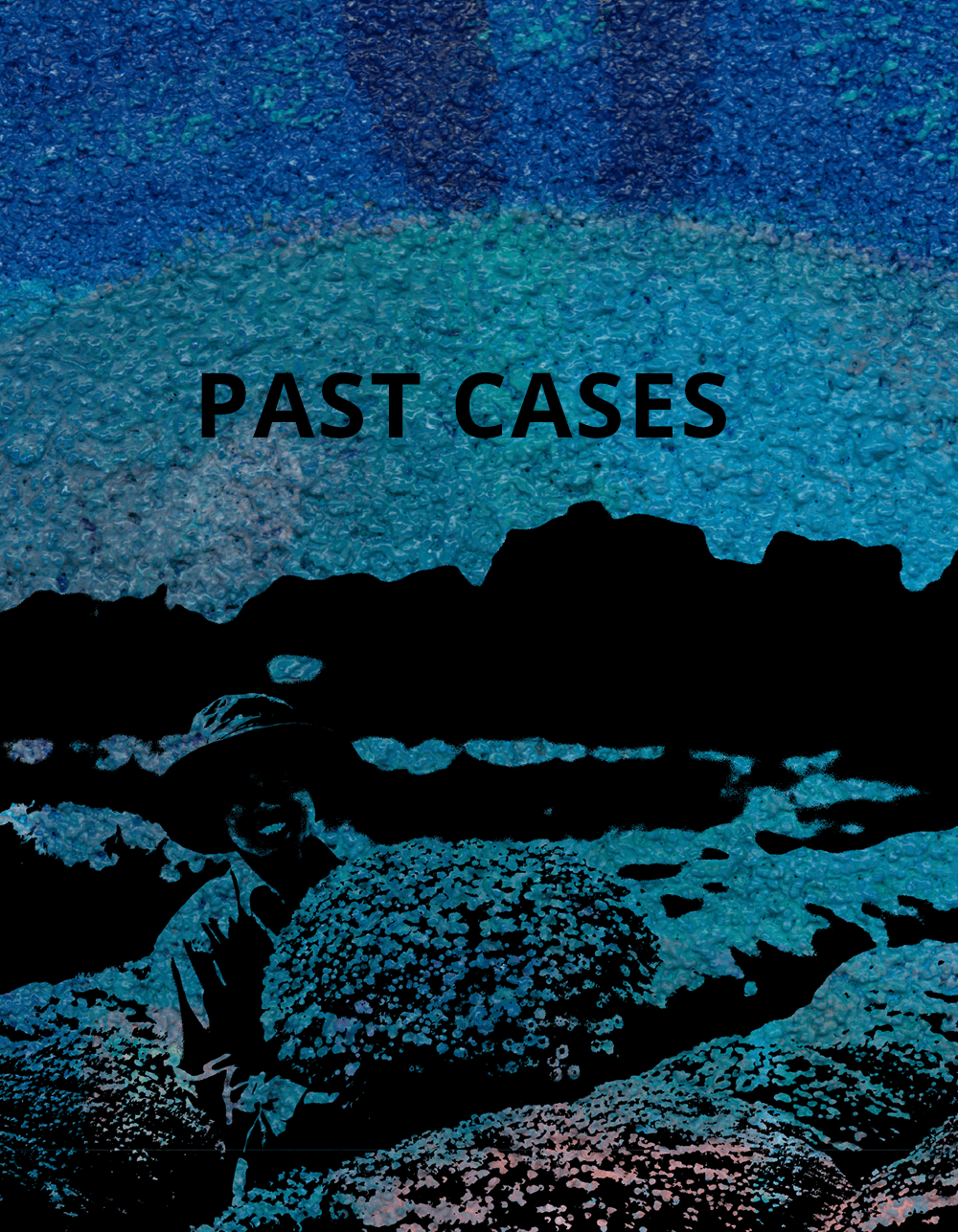 PAST CASES